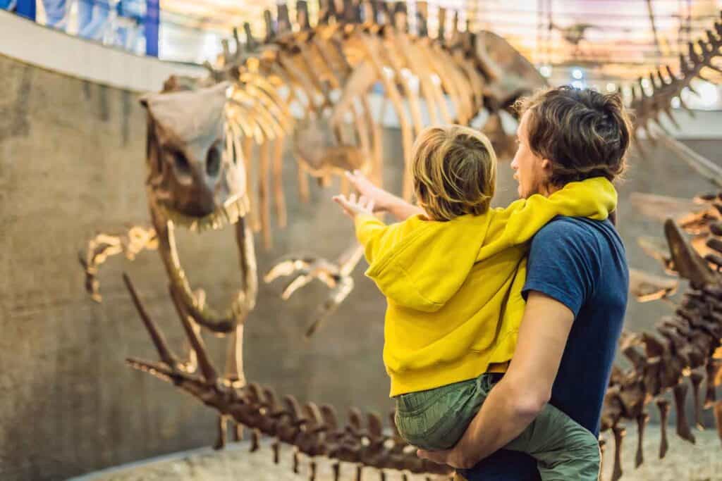 Ein Vater hält ein kleines Kind, das eine gelbe Kapuzenjacke trägt, während sie gemeinsam ein großes Dinosaurierskelett in einem Museum betrachten. Das Kind zeigt mit dem Finger auf das Skelett.